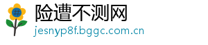 险遭不测网
